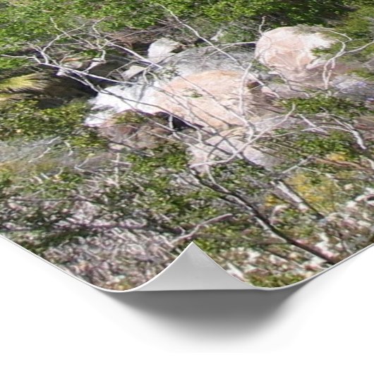 Indian Canyon (8) Poster (Hoek)