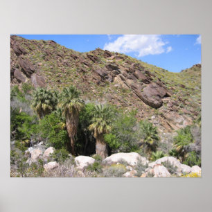 Indian Canyon (8) Poster