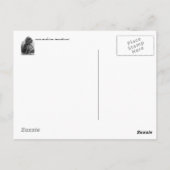 Indian Chief-prentbrief Briefkaart (Achterkant)