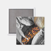 Indian Corn Magnet (Voorkant / Achterkant)