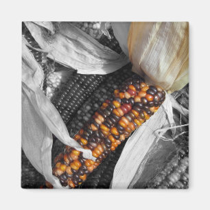 Indian Corn Magnet