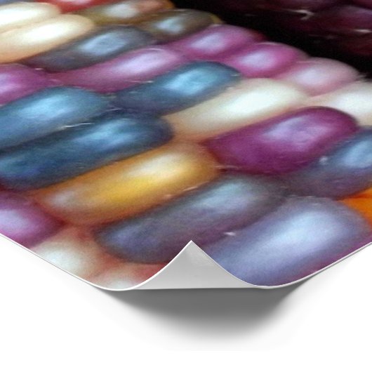 Indian Corn Print van Kim Rowlett (Hoek)