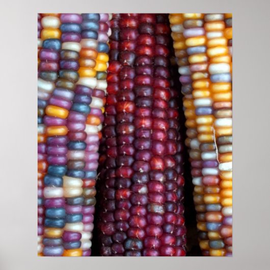 Indian Corn Print van Kim Rowlett (Voorkant)