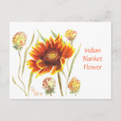 Indian Deken Bloem Post Kaart (Voorkant)