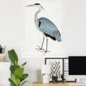 Indian Grey Heron (1780-1782) beroemd gemaakt door Poster (Thuiskantoor)