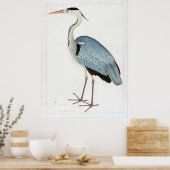 Indian Grey Heron (1780-1782) beroemd gemaakt door Poster (Keuken)