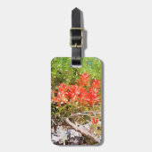 Indian Paint Brush-wildbloem-waterverf Bagagelabel (Voorkant verticaal)