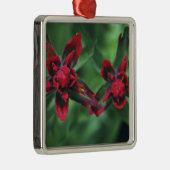 Indian Paintborstel, Banff NP, Alberta, Canada 2 Metalen Ornament (Rechts)