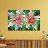 Indian Paintbrush, Banff NP, Alberta, Canada Canvas Afdruk (Insitu (Woonkamer))