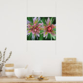 Indian Paintbrush, Banff NP, Alberta, Canada Poster (Keuken)