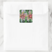 Indian Paintbrush, Banff NP, Alberta, Canada Vierkante Sticker (Tas)