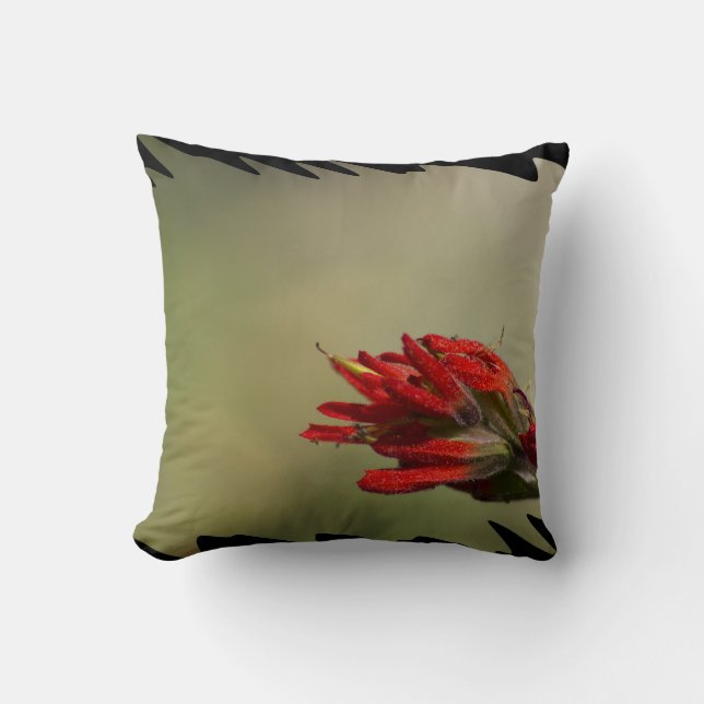 Indian Paintbrush Black Edge Kussen (Voorkant)
