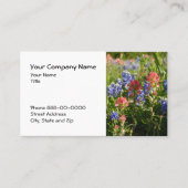 Indian Paintbrush Bluebonnet Visitekaartje (Voorkant)