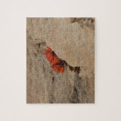 Indian Paintbrush in rotsen bij Zion Legpuzzel (Verticaal)