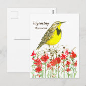 Indian Paintbrush Meadowlark State Bird of Wyoming Briefkaart (Voorkant / Achterkant)