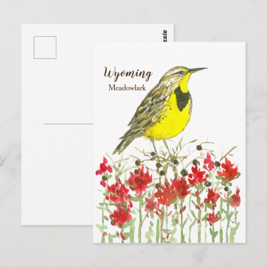 Indian Paintbrush Meadowlark State Bird of Wyoming Briefkaart (Voorkant / Achterkant)
