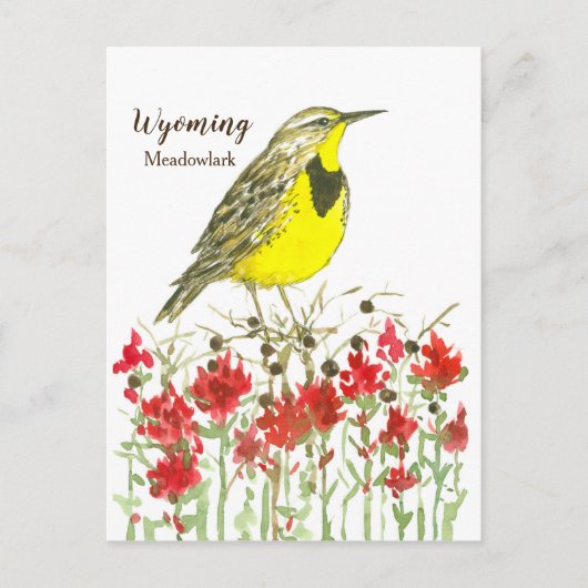 Indian Paintbrush Meadowlark State Bird of Wyoming Briefkaart (Voorkant)