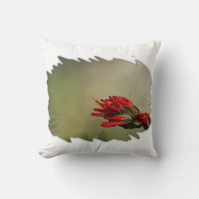 Indian Paintbrush Wide White Edge Kussen (Voorkant)