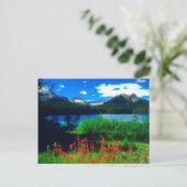 Indian Paintbrush Wildflowers Briefkaart (Staand voorkant)