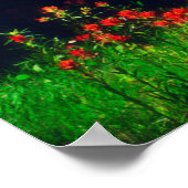 Indian Paintbrush Wildflowers Poster (Hoek)