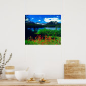 Indian Paintbrush Wildflowers Poster (Keuken)