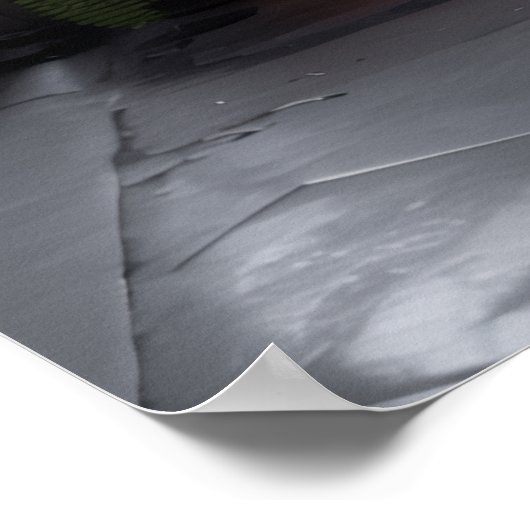 Indian Palace Poster (Hoek)