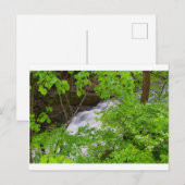 Indian Run Herfsten, Dublin, Ohio Briefkaart (Voorkant / Achterkant)