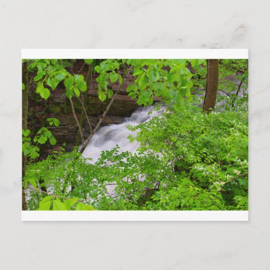 Indian Run Herfsten, Dublin, Ohio Briefkaart (Voorkant)