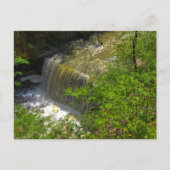 Indian Run Herfsten, Dublin, Ohio Briefkaart (Voorkant)