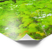 Indian Run Herfsten, Dublin, Ohio Foto Afdruk (Hoek)