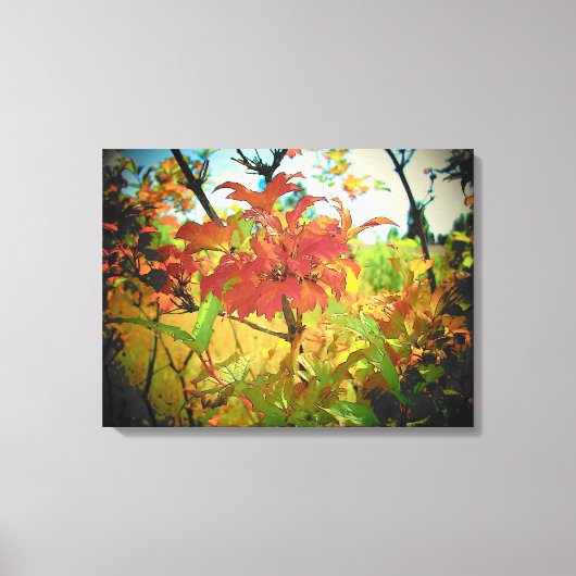 Indian Summer September Kleuren van djoneill Canvas Afdruk (Voorkant)