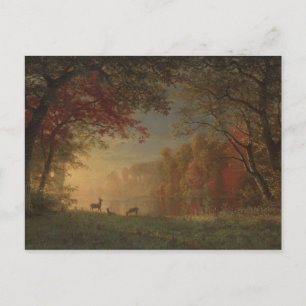 Indian Sunset Deer bij een meer Briefkaart