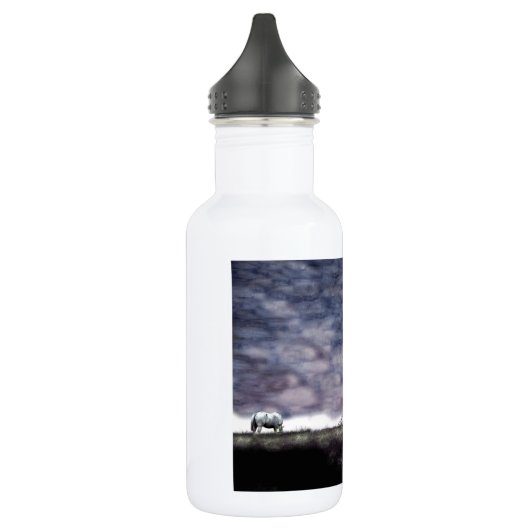 Indian Sunset Water Bottle Waterfles (Links)