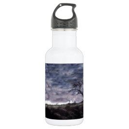 Indian Sunset Water Bottle Waterfles