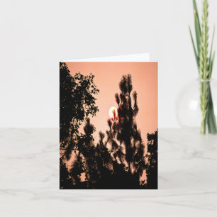 Indian Valley brand.... Kaart