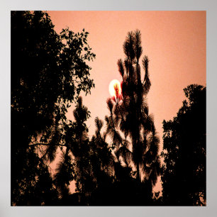 Indian Valley brand....... Poster