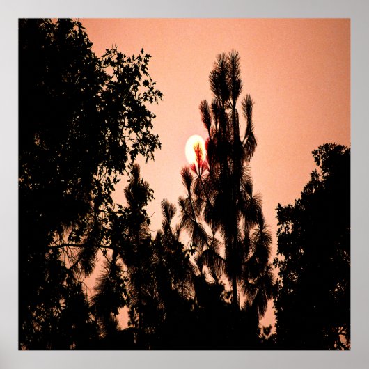 Indian Valley brand....... Poster (Voorkant)