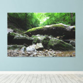 Indian Village Canyon, Columbus, Ohio Canvas Afdruk (Insitu (Houten vloer))