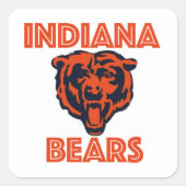 Indiana Bears Stickers (Voorkant)