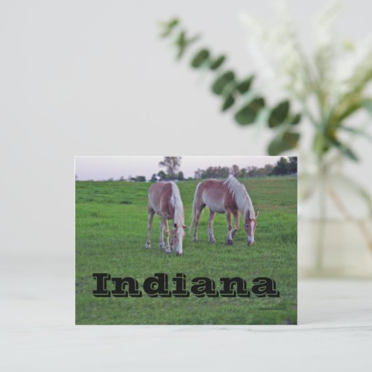 Indiana Briefkaart (Staand voorkant)