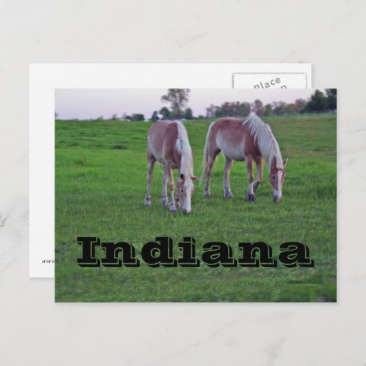 Indiana Briefkaart (Voorkant / Achterkant)