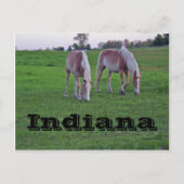 Indiana Briefkaart (Voorkant)
