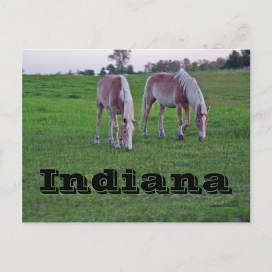 Indiana Briefkaart (Voorkant)