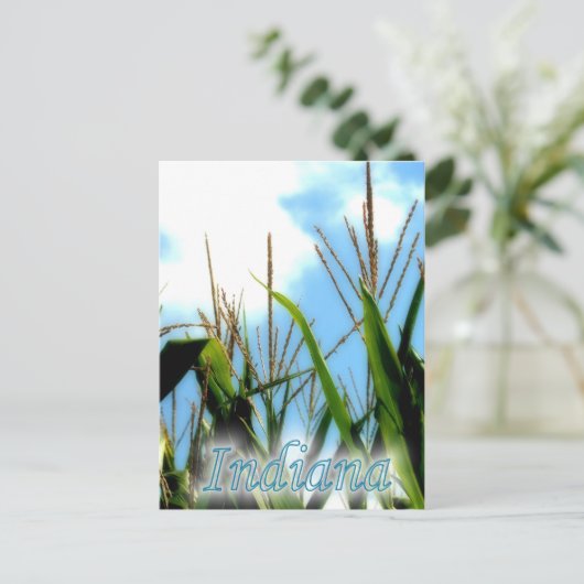 Indiana Corn Briefkaart (Staand voorkant)