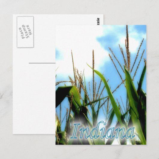 Indiana Corn Briefkaart (Voorkant / Achterkant)