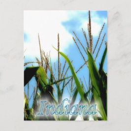 Indiana Corn Briefkaart