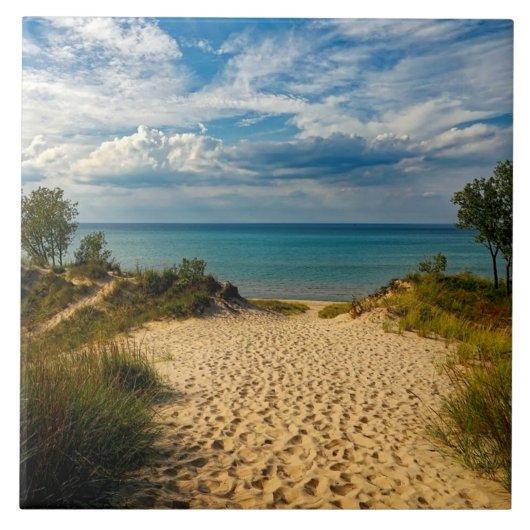 Indiana Dunes, Lake Michigan Tegeltje (Voorkant)