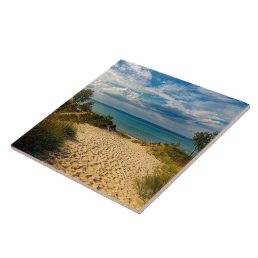 Indiana Dunes, Michiganmeer Tegeltje (Zijkant)