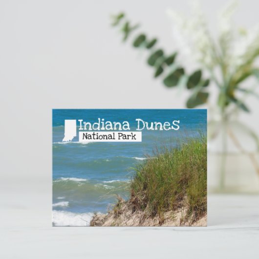 Indiana Dunes National Park Beach Dune Briefkaart (Staand voorkant)