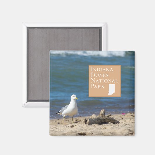 Indiana Dunes National Park Gift Magneet (Voorkant / Achterkant)